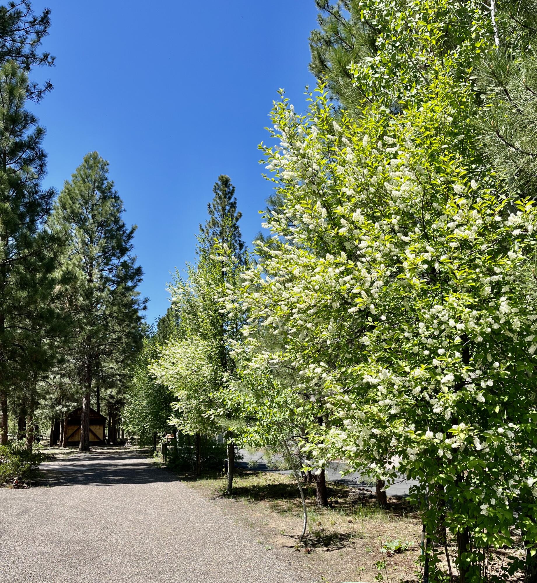 Wild River - Residential