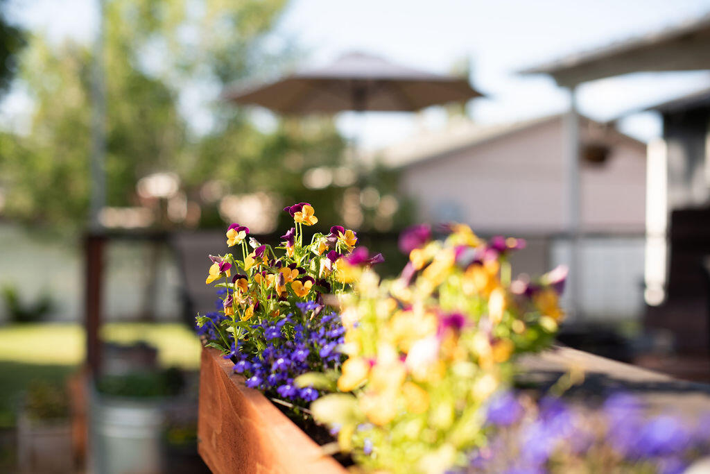 Merrill - Residential