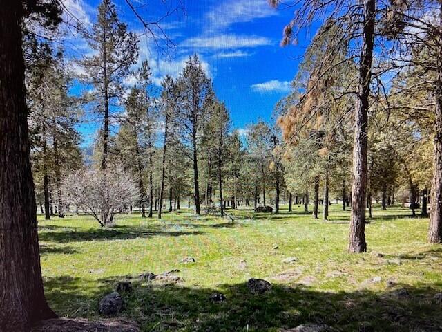 Running YResort - Land