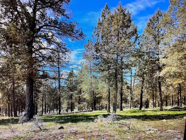 Running YResort - Land