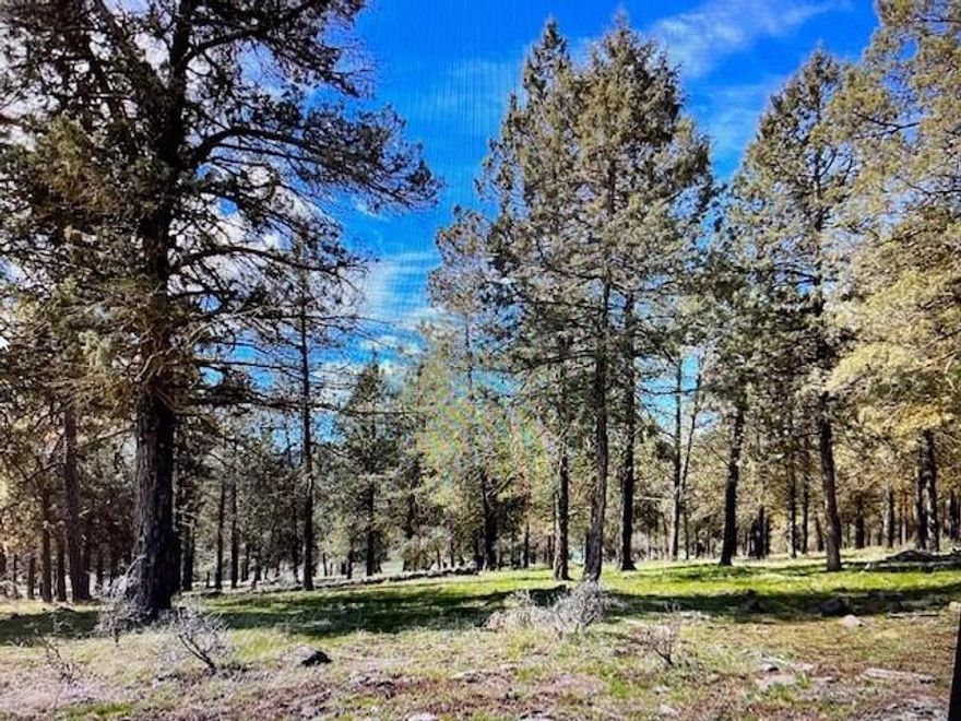 Picturesque 0.90 acre home site with mature trees in the desirable Running Y Ranch Resort community ready for you to build your dream home.  The Running Y Resort community sought after for its many home owner amenities that include fitness center, indoor pool and sauna, tennis, pickleball, basketball, and volley ball courts, playground, 6 miles of paved walking trails, wild land walking trails, restaurants and more.