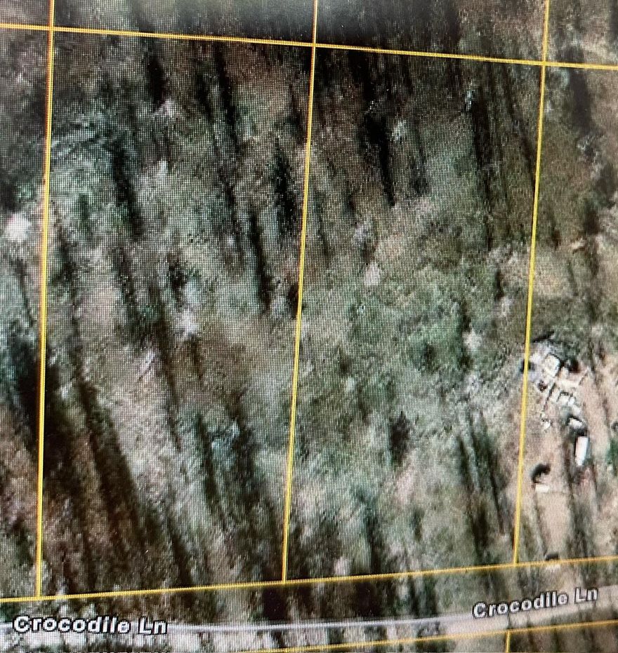 Great opportunity to purchase a nice lot that is wooded and flat.  Adjoining lot is also for sale, so this is an opportunity to buy one lot or combine and buy two.  Power is not far down the road on Wren Drive, solar is often used in the area.  Buyer to do own due diligence as it has been a long time since seller has been to property. Seller and broker do not guarantee property lines.