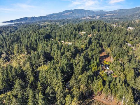 Tiny photo for 96120 Cape Ferrelo Road, Brookings, OR 97415 (MLS # 220212797)