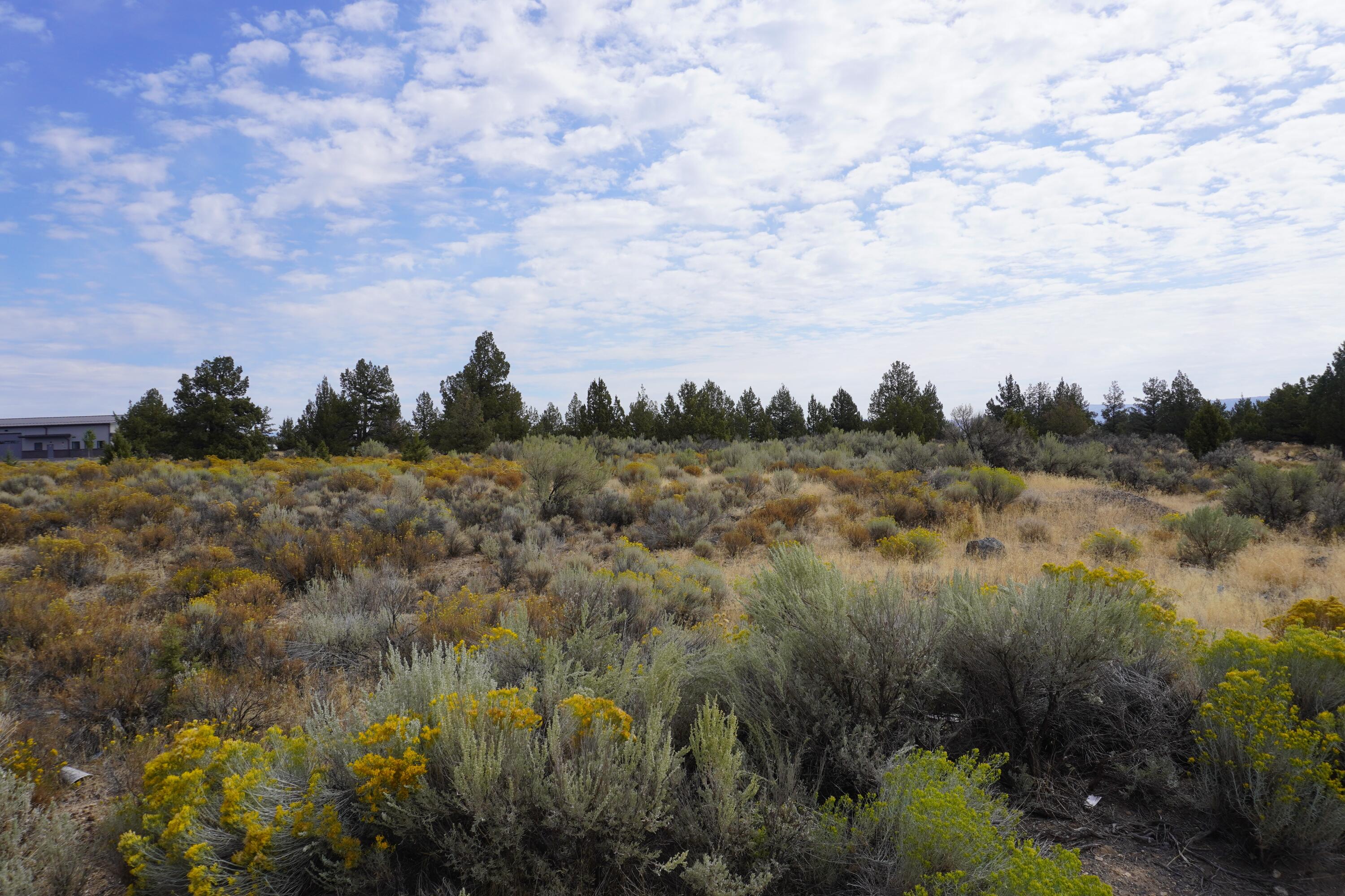 Tom McCall Bus/Ind. - Commercial Sale