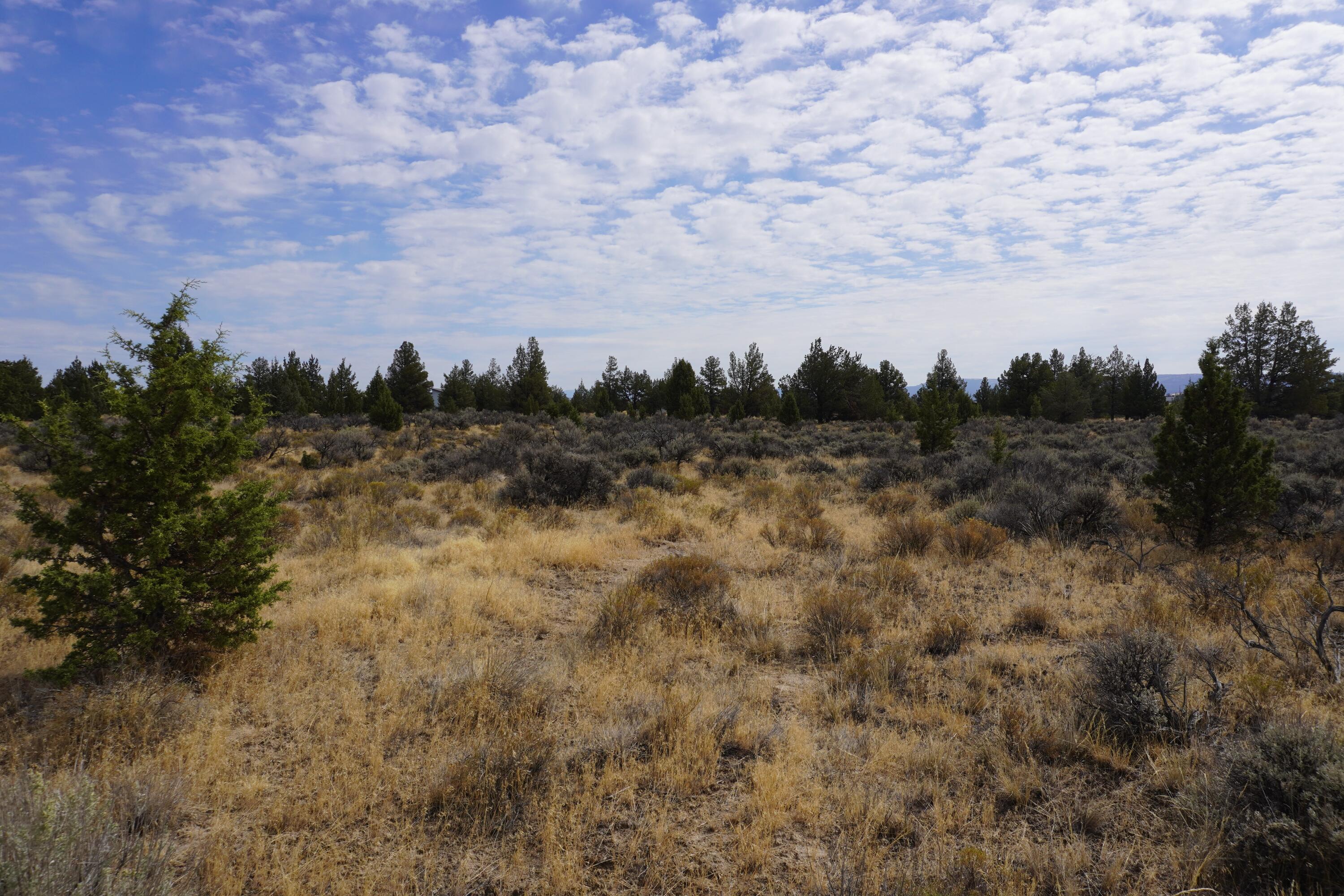 Tom McCall Bus/Ind. - Commercial Sale