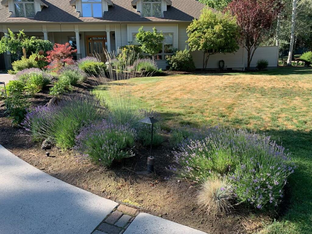 Mtn High - Residential