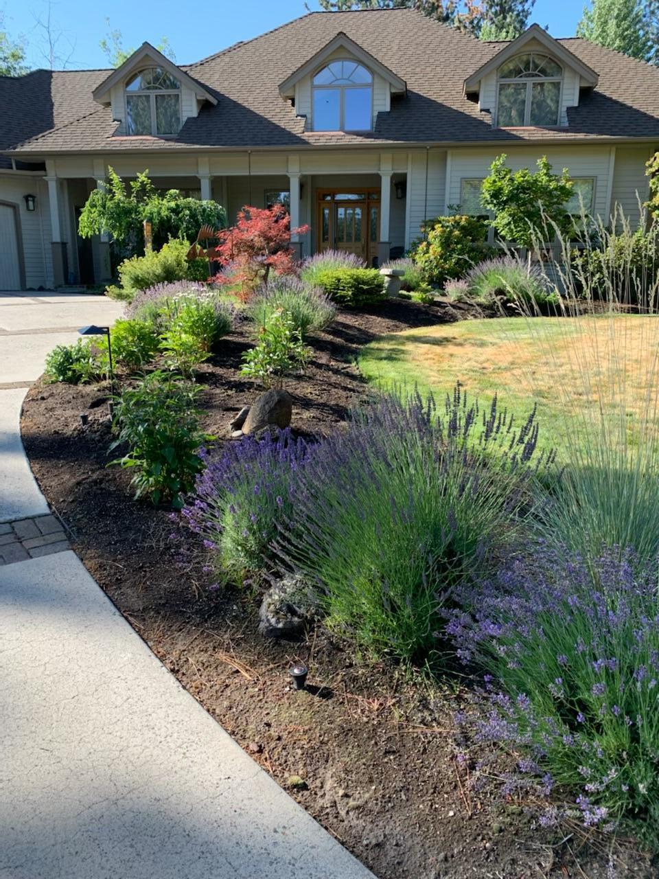 Mtn High - Residential