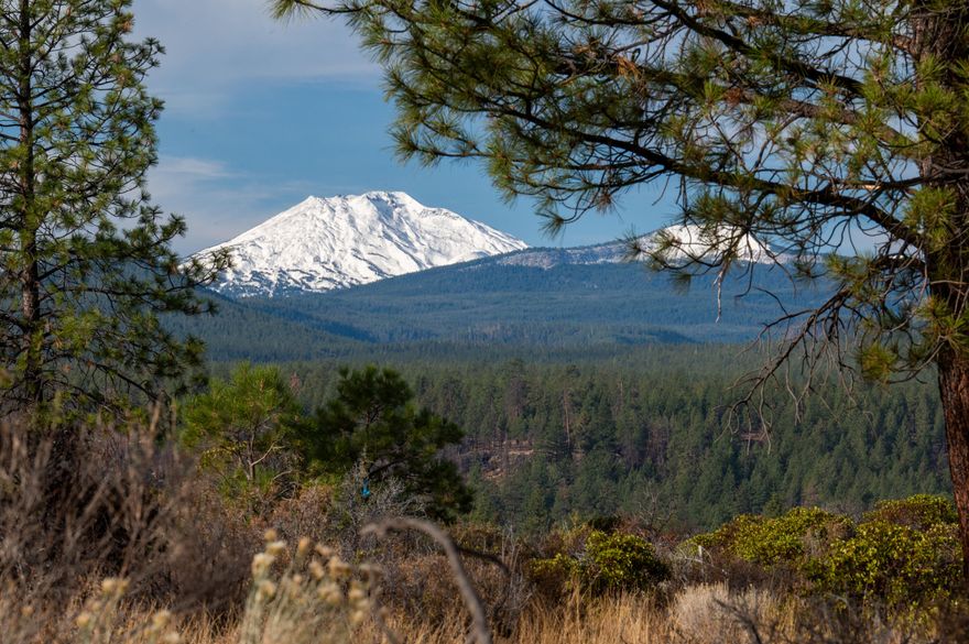 Welcome to Lot 8! This is an exceptional 3.55-acre property in Westgate, one of Bend's most prestigious neighborhoods & is the last available rim lot in the community not under development or design review. Located on an elevated bluff overlooking Shevlin Park, this lot offers unobstructed sweeping views of the Cascade Mountain Range & a building site protected by trees & hidden from the street & neighboring properties. This rim-lot-property backs up to the Deschutes National Forest, which allows unobstructed views & privacy! This tranquil & stunning homesite also gives the owner convenience & accessibility, with downtown Bend only 7 minutes away, Northwest Crossing 4 minutes away, Shevlin Park 2 minutes away, & the Deschutes National Forest accessible from your backyard. Lot 8 is your last opportunity to build your dream home in Central Oregon's most sought-after community, with the unique combination of beauty, privacy, community & accessibility not available anywhere else in Bend.