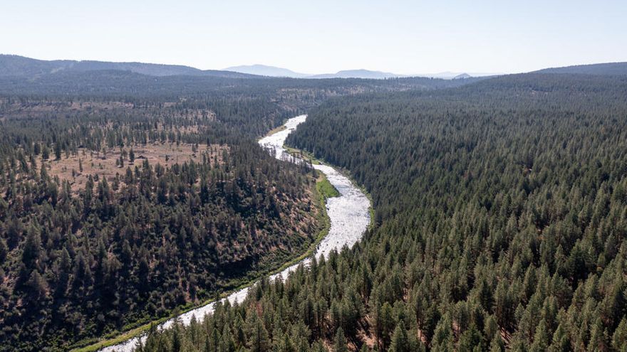 Shortly outside of keno, oregon in the winema national forest this beautiful piece of property is approximately 501.63 acres and north side of property runs directly against the klamath river. A timber cruise was recently completed which revealed a variety of species of timber including douglas fir, ponderosa pine, white fir and incense cedar. No logging has been completed on the property for decades! Wildlife abounds in the area, which include deer, elk and numerous species of fish and for bird enthusciast don't be surprised at the various birds in the area, including raptor birds. The property resides approximately 20 miles from klamath falls and 50 miles from medford and ashland oregon.