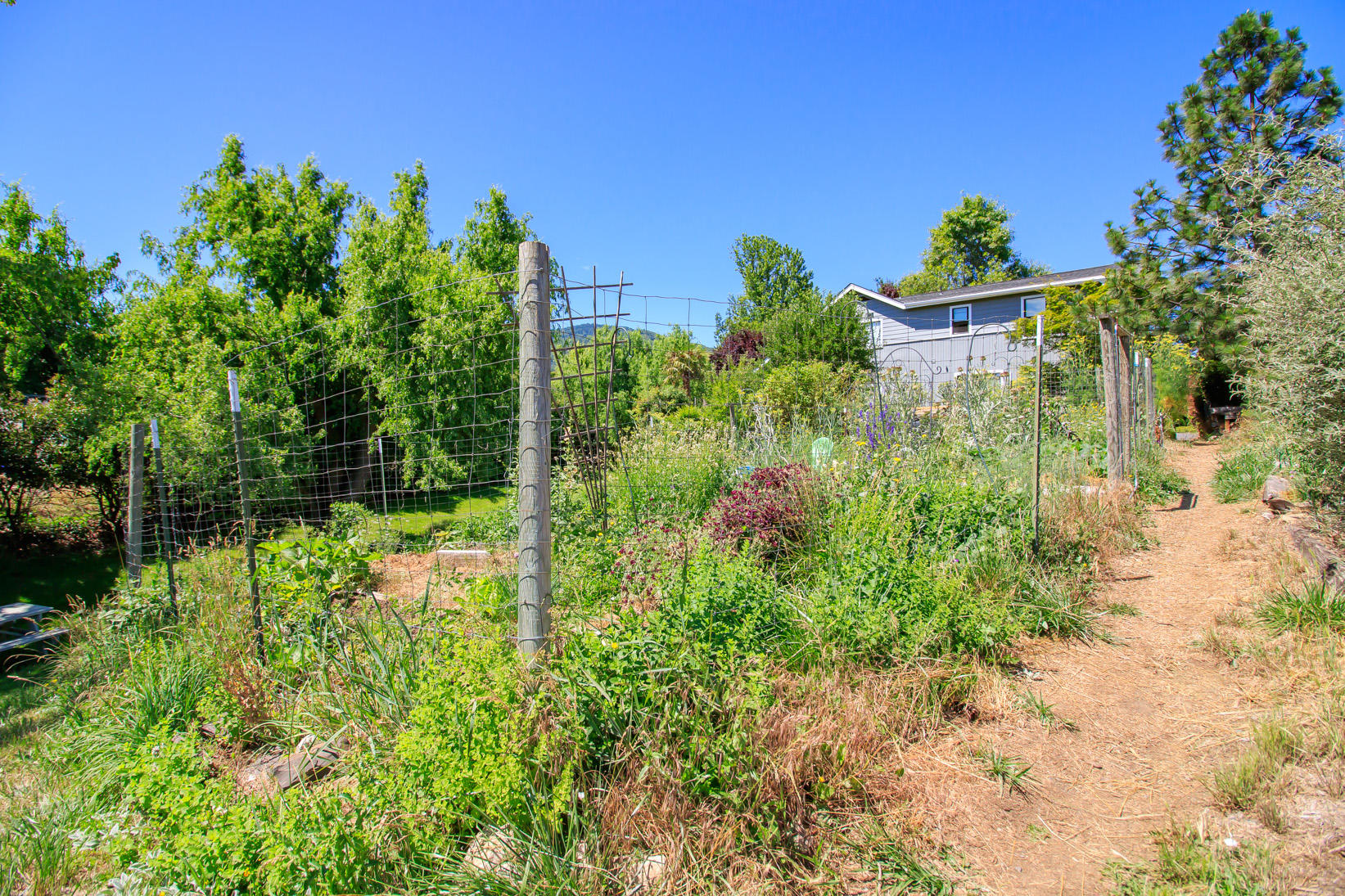 Jessica Lane Subdivision - Residential