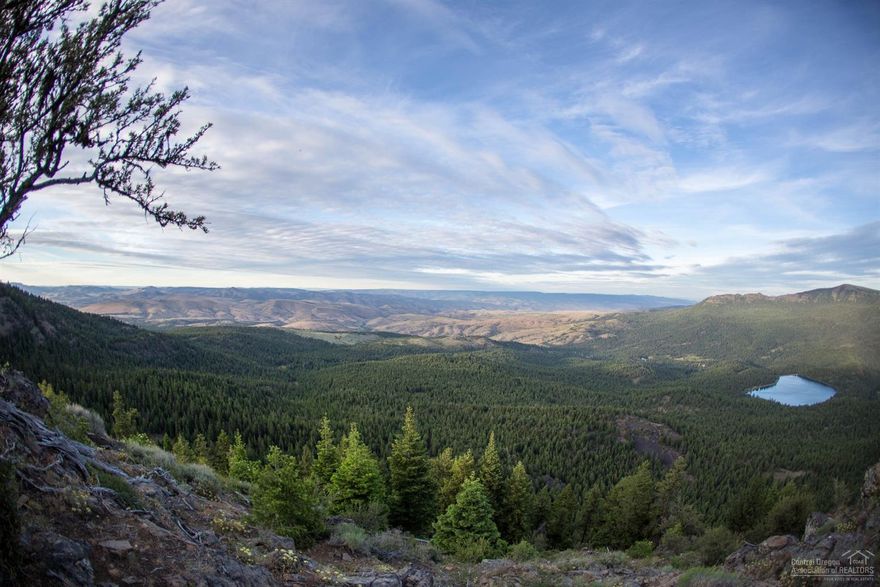 The Antone Ranch consisting of ~36,663 acres with abundant water resources, including live water creeks, numerous fishing lakes and irrigated lands. The topography includes timberland, grassy hillsides, steep canyons and large irrigated meadows. The pristine ~85ac lake provides unique recreation ranging from water-skiing to trophy fishing. Improvements include multiple homes, shop facilities and a 5180' paved runway. The ranch supports a year round cow herd and alfalfa/grass hay operation.