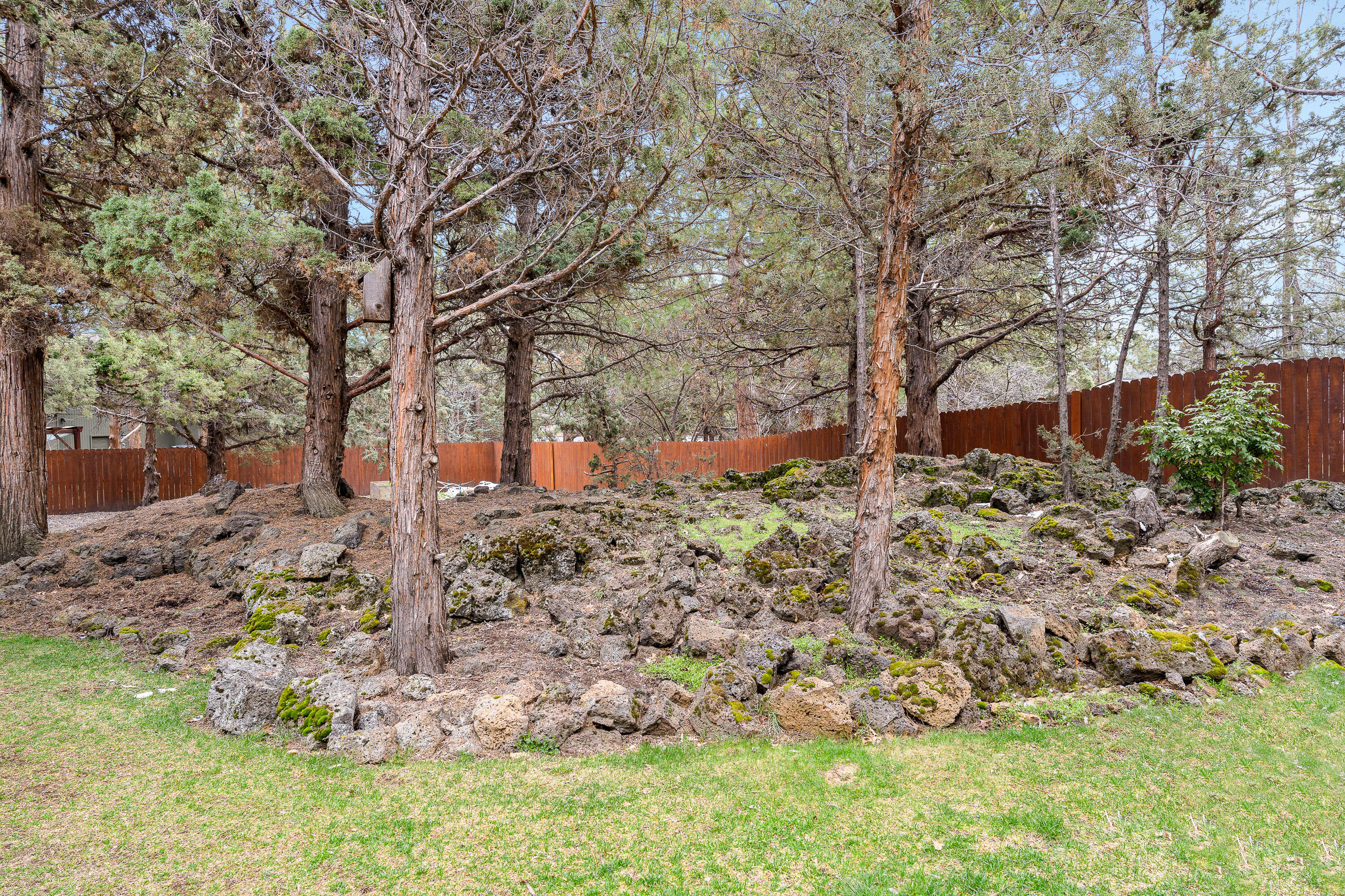 Conifer Estates - Residential