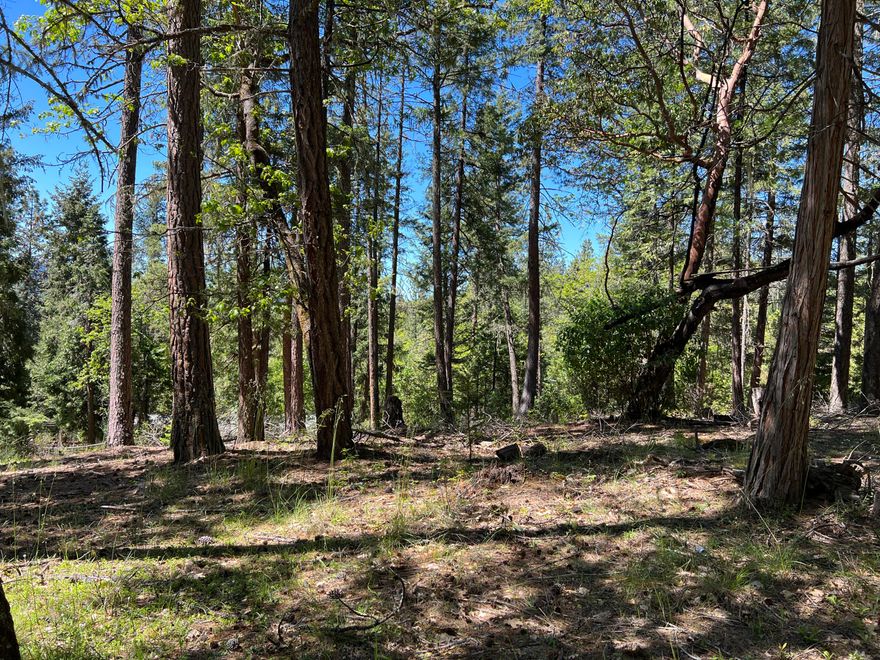 Enjoy country living on this lot near the Lost Creek Recreation Area. This lot is a great place to build your new home, cabin, or manufactured home. The land is completely treed and is level to gently sloping. A second lot is for sale adjacent to this lot. (00347 Flounce Rock Rd) Buy both lots for a total of 1 acre. Water is provided to the edge of the lot via the Evergreen Meadows Community Water System. Power is along the edge of the lot, but will need to be installed by Pacific Power. A septic system will need to be installed. Located a few minutes from public access to Lost Creek Lake and BLM land. Lost Creek Lake is a popular place for boatings sports, camping and fishing. Just minutes from the Rogue River National Forest system where you can enjoy a plethora of outdoor activities including camping, hiking, hunting, world class trout fishing on the Upper Rogue, viewing waterfalls, riding OHVs, and much more! Owner carry options available to qualified buyers!