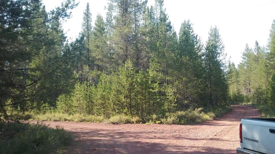 Mt. Scott Meadows 1 acres lot for sale for $7000.00 Great place to recreate, build a cabin and hunt.