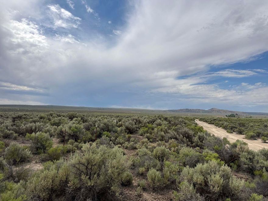 20 Acres in Christmas Valley, Oregon. Easy access from Old Lake Road to Fermac Road, then north on Snowman Road. This lovely parcel borders the north end of a large pivot line. Wildlife is abundant in this area. Watch the deer, antelope, and coyotes play in the hay fields. Great parcel for a homestead or family farm. Flat parcel, partially fenced, and has road access.