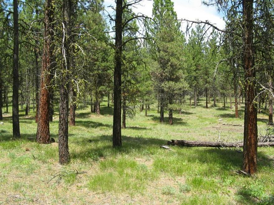 12 Private Timbered Acres Bordering National Forest! Power available, 30 x 34 quality 2 story all steel building, cabin, good easy access, fenced, well, septic, great get away! $140,000 #694 (Limited Winter Access Call for Accessibility)