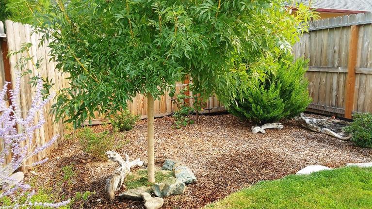 Heatherwood - Residential