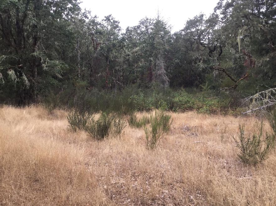 Beautiful secluded 14.79 acres on Driver Valley Rd in Oakland OR. This property offers a creek and 4-5 GPM well per seller. Come see this amazing spot!