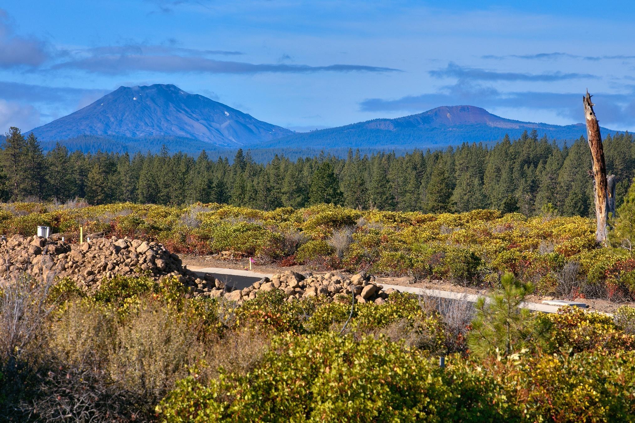 Tetherow - Residential