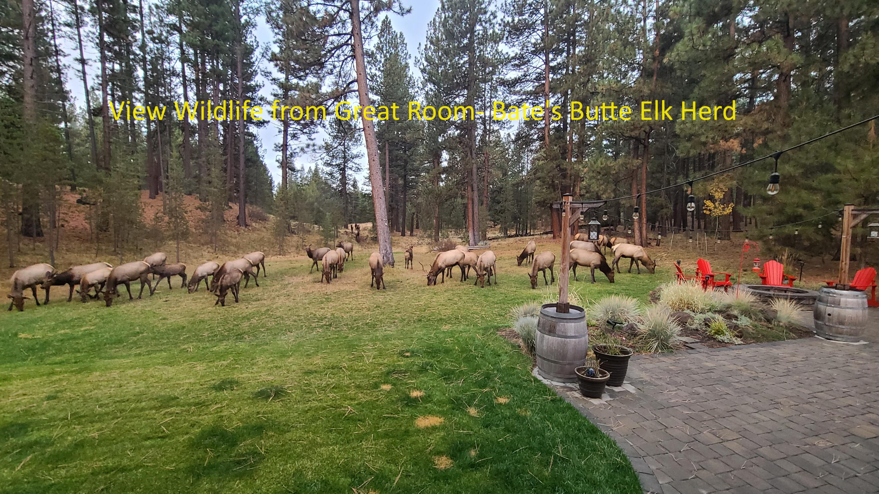 River Forest Acres - Residential