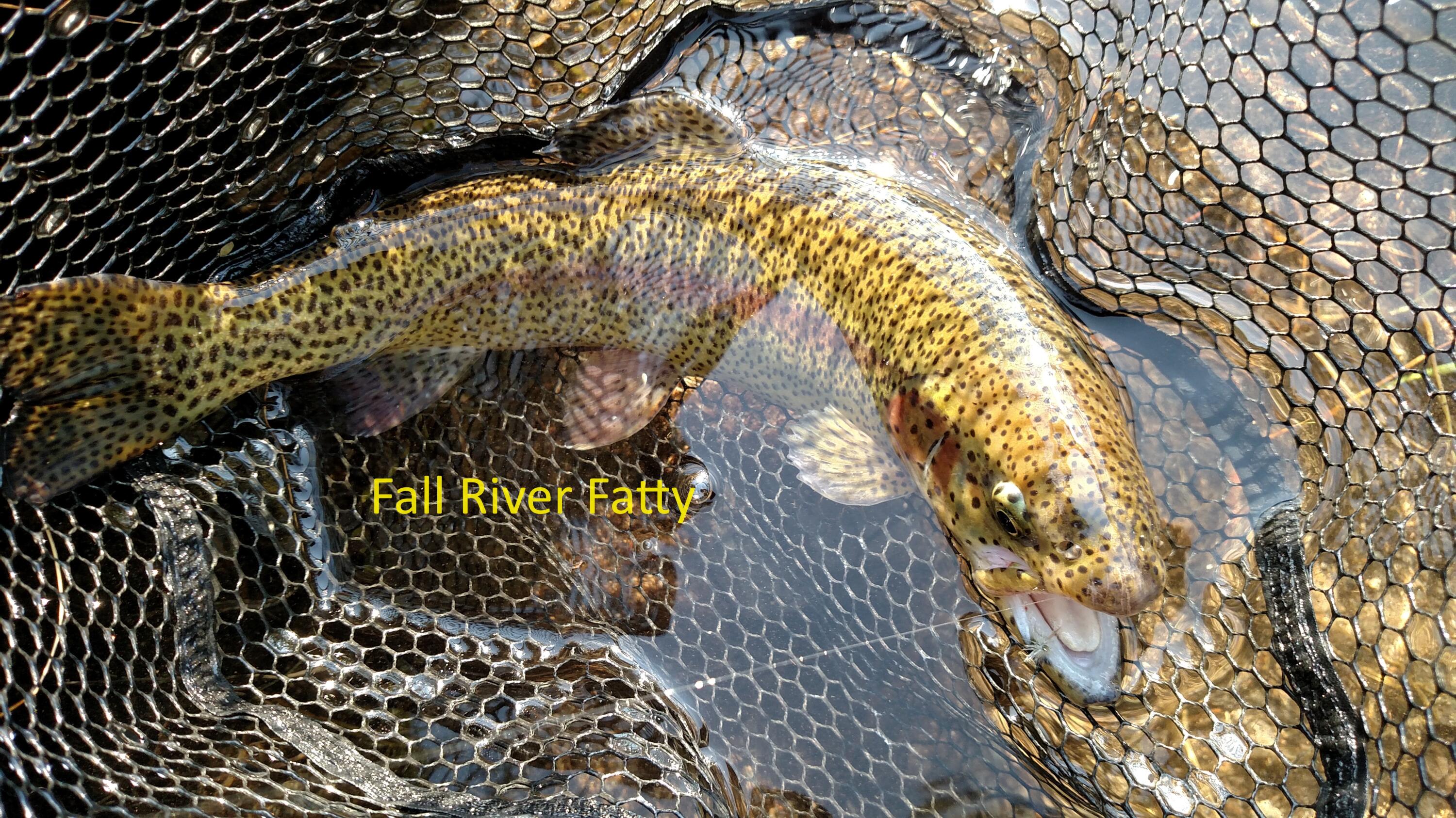 River Forest Acres - Residential