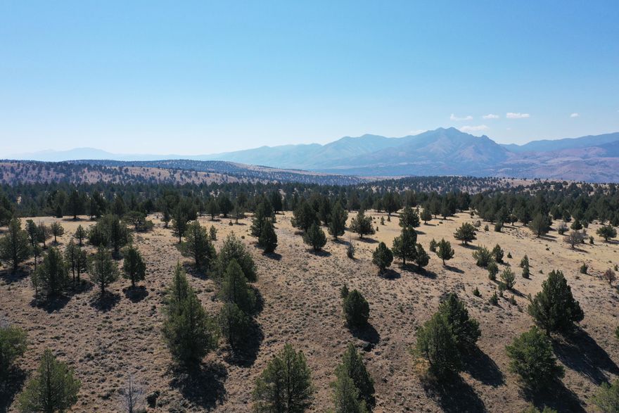 Looking for a place to truly unplug and enjoy the outdoors? This 320 acre property at the end of the road might be just what you're after. Tucked along Wiley Creek, it offers total privacy, wide open space, and some of the best big game hunting around.

Even in the heat of late summer and early fall, Wiley Creek still runs cool, making it a rare and reliable water source that draws in wildlife. The mix of tall juniper and pine, rimrocks, big ridge tops, and forested hillsides gives mule deer and Rocky Mountain elk plenty of cover and grazing ground.

Whether you're hunting, camping, or just escaping the noise, this land gives you room to breathe. And with it qualifying for two elk and two mule deer Landowner Preference Tags (be sure to check with ODFW), it's a great setup for hunters.

Just a short drive from Dayville, but it feels like a whole different world. Come see what off-the-grid peace and quiet really looks like.