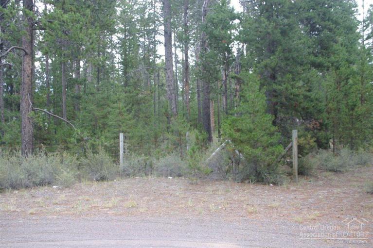 Tall Pines - Land