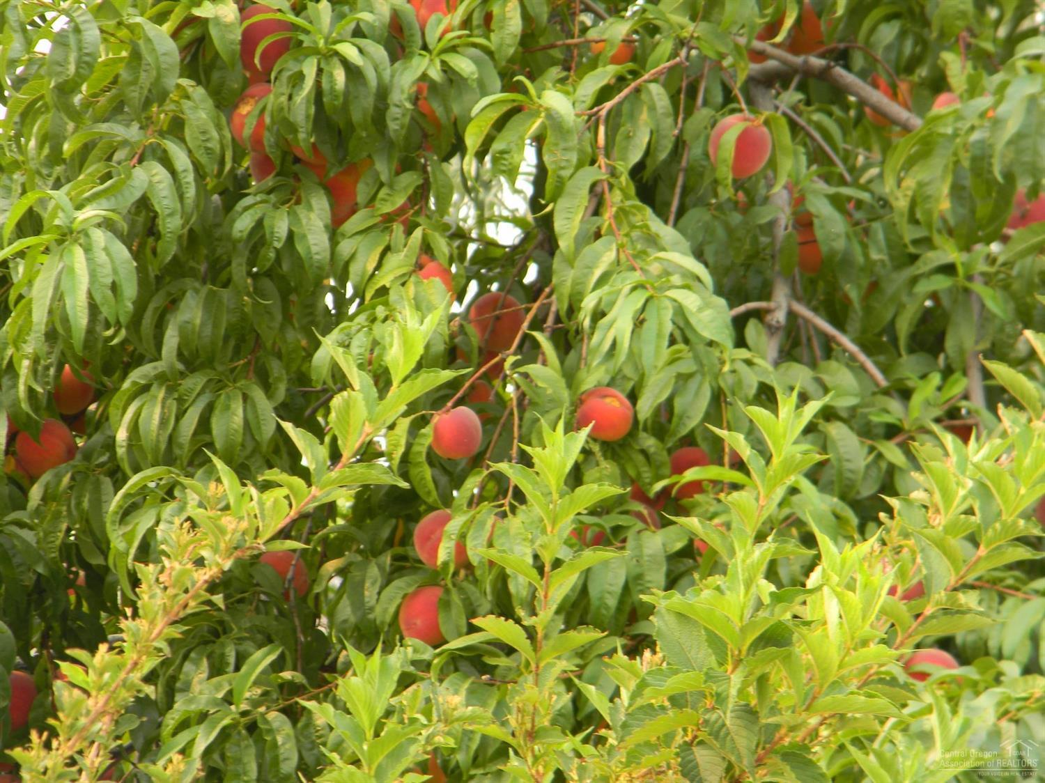 Hillman - Residential