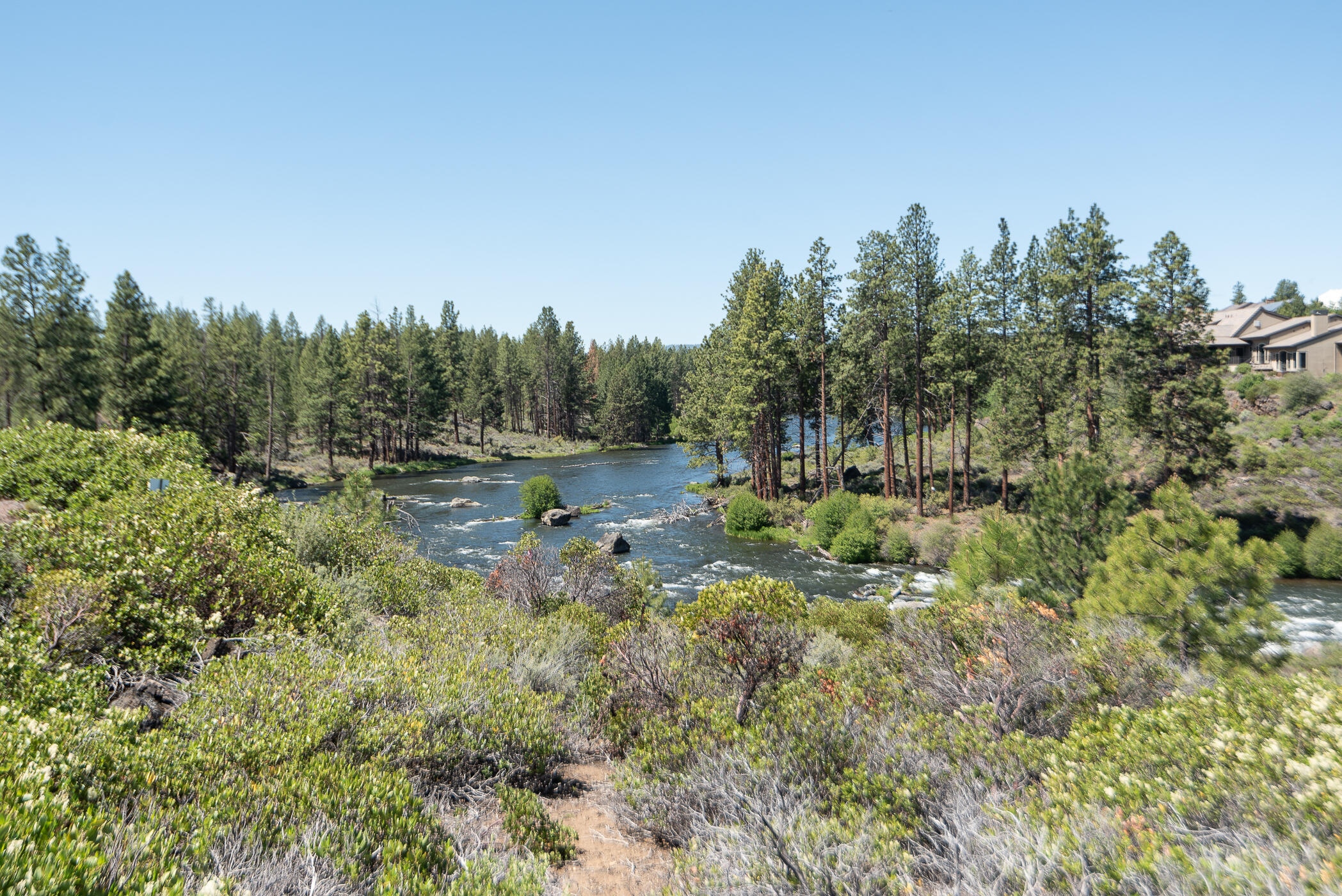 River Vale - Residential