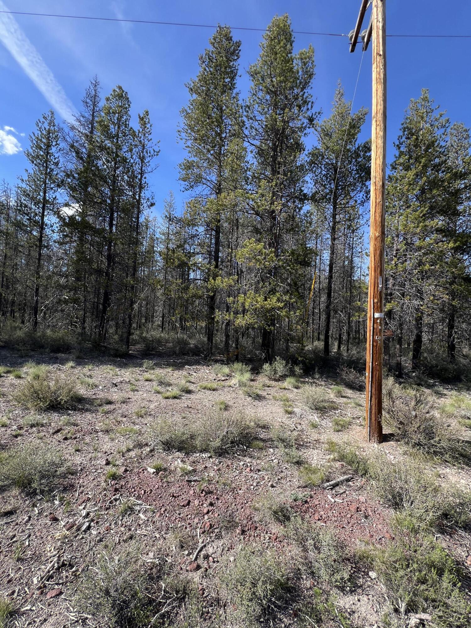 Mt. Scott Meadow - Land