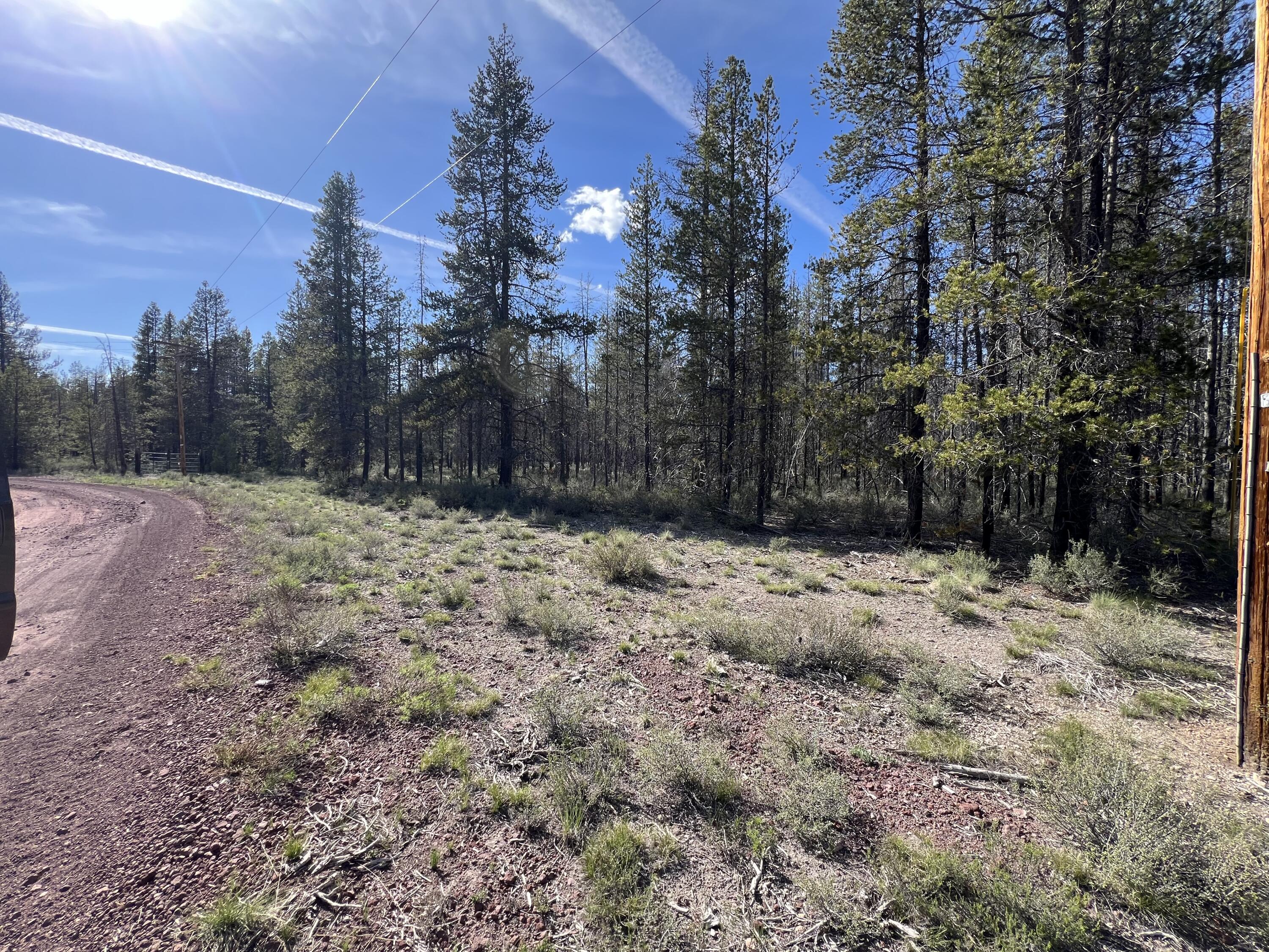 Mt. Scott Meadow - Land