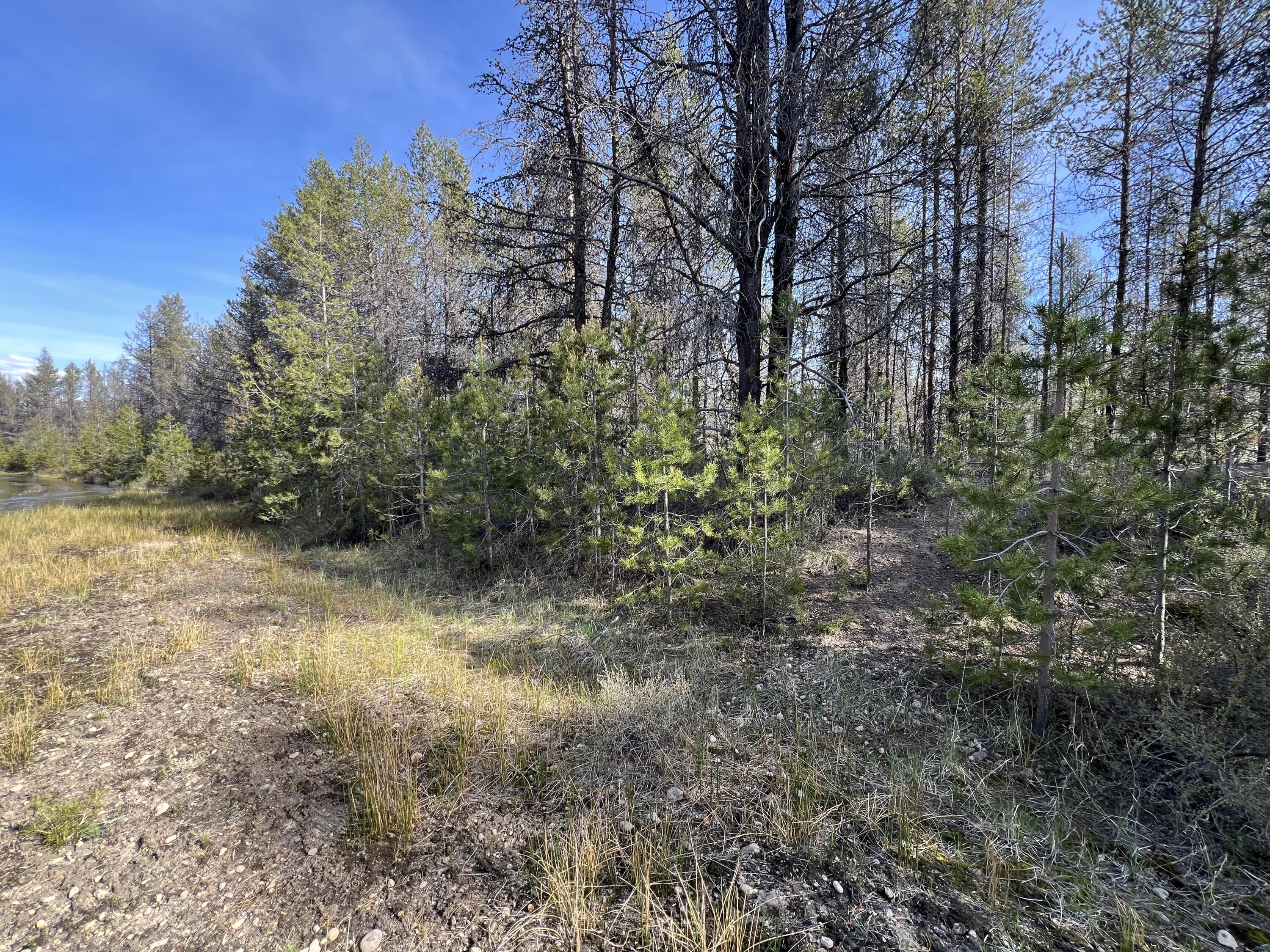 Mt. Scott Meadow - Land