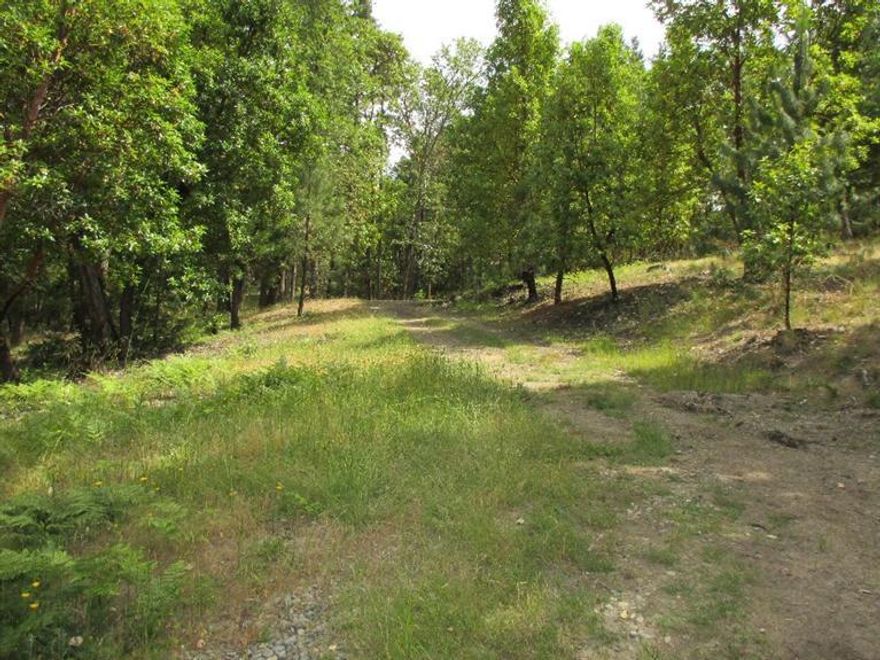 Searching for almost seven acres of serenity to build your custom home? Across from Seclusion Loop, in an area of restricted residences lies this oasis of tall trees and peace and quiet. There's an air of serenity as you stroll through parked out areas of level and sloping ground. Choose your homesite to be tucked into the trees or take advantage of long range views. There's a standard septic approval on file, excellent well and over 400 acres of BLM bordering the property.