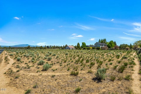 Tiny photo for 8341 SW Copley Road, Powell Butte, OR 97753 (MLS # 220222630)