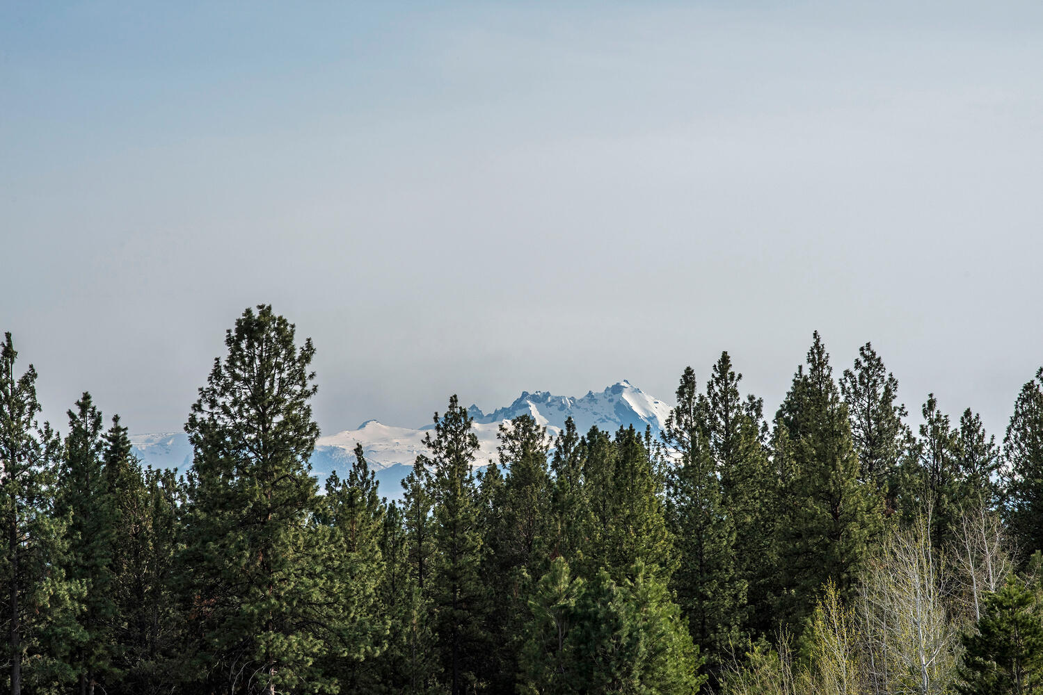 Aspen Lakes Golf Est - Residential