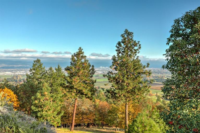 Suncrest Estates - Residential