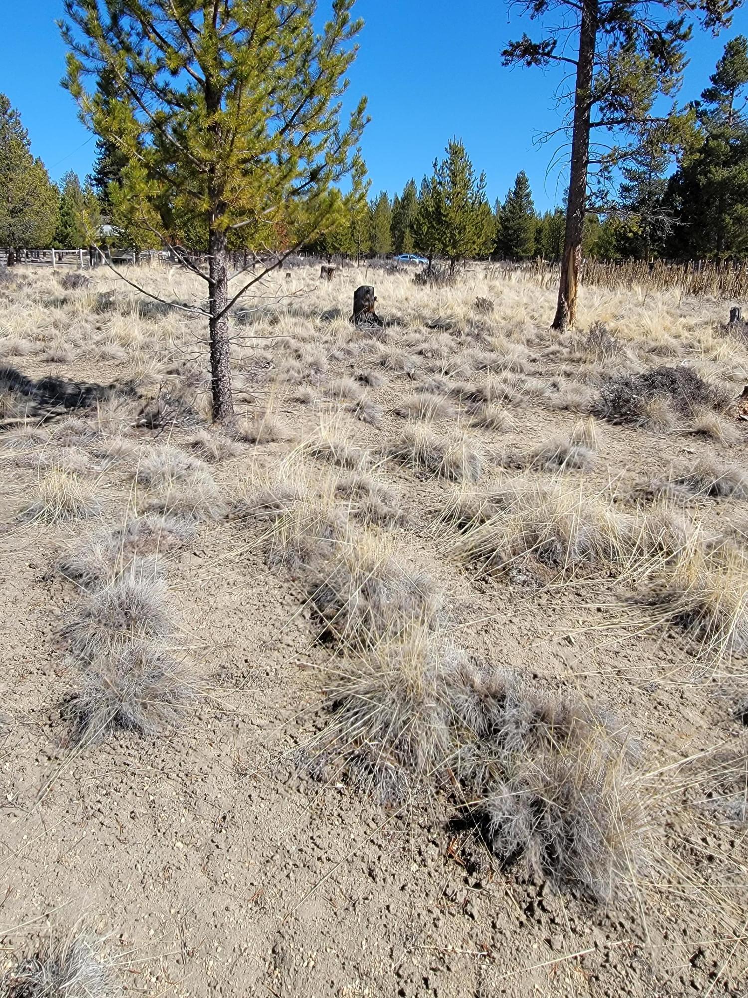 Sun Country Estates - Land