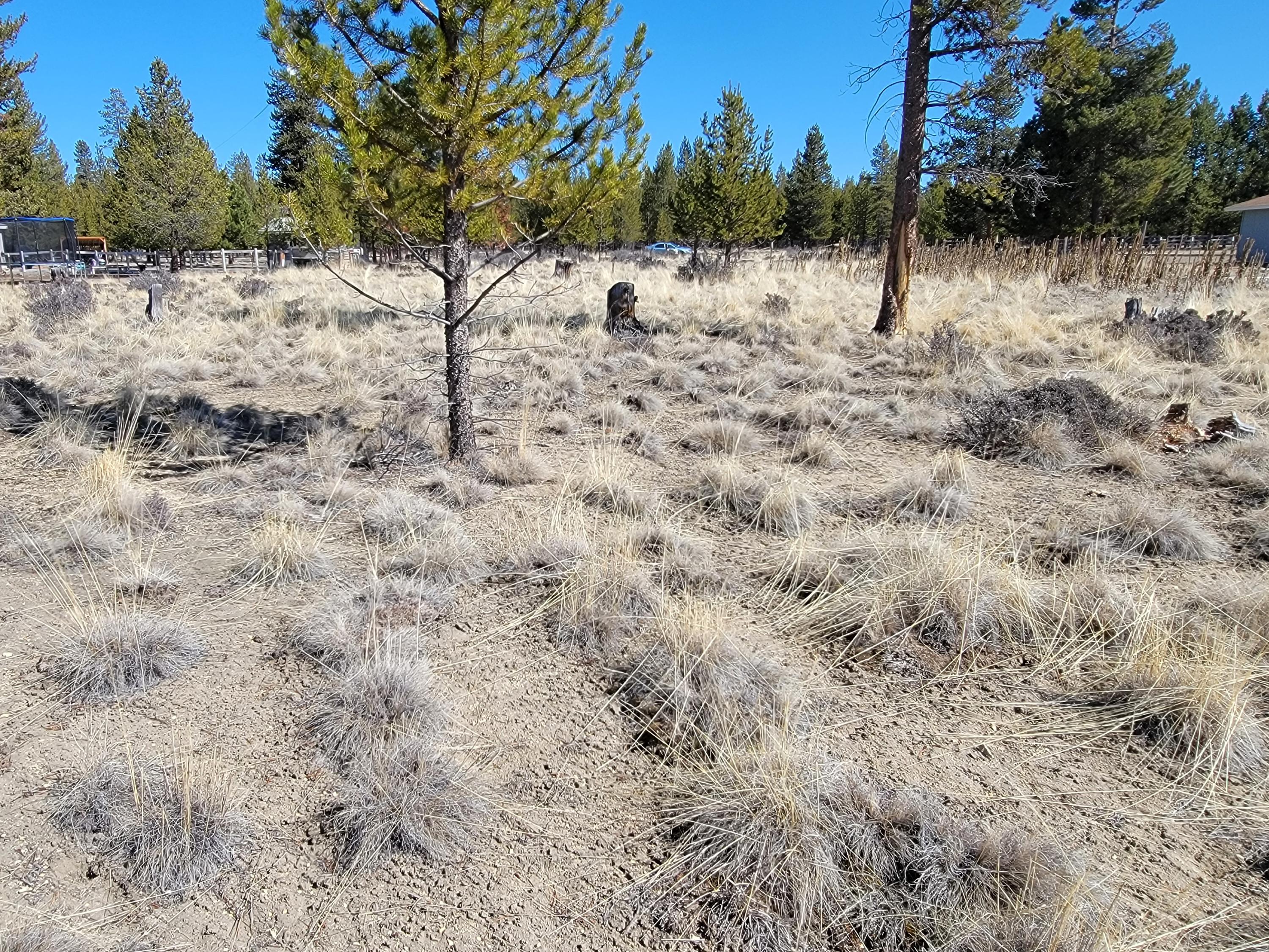 Sun Country Estates - Land