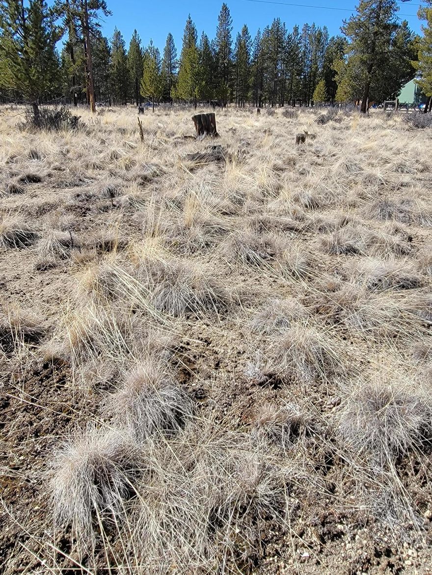 Looking to get away from the hustle and bustle of town? This lot might be just for you! Located just 11 miles east from downtown La Pine. Close to all amenities that Central Oregon has to offer. Come see today!