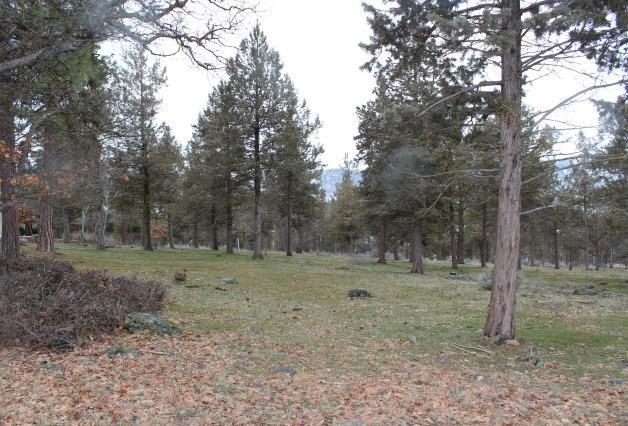 Running YResort - Land