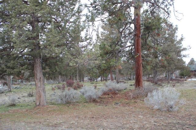 Running YResort - Land