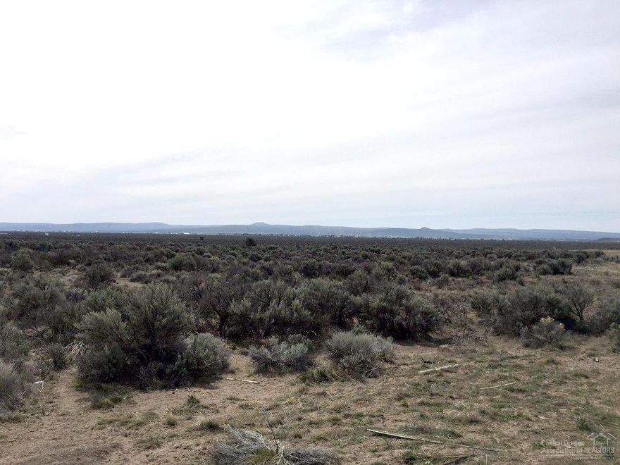Beautiful 320 acre parcel. Close to town. Backs to BLM. No utilities on property. Call Lake County for land uses and permits. Good hunting area. Possible LOP tags. Wild life abounds. 25 mins to sand dunes. Great recreational area. Hunting, camping, 4 wheeling, horse back riding and much more.