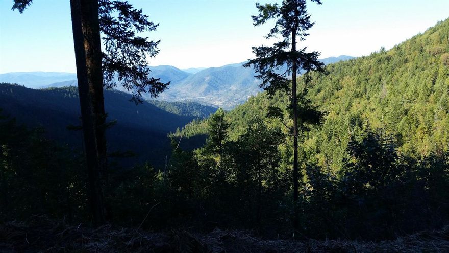 640+/- acres of secluded timber land. This property is surrounded by BLM and Josephine County property. This property would make a solid investment in maturing timber, your own recreational paradise or possible remote home site. Buyer to perform their own due diligence regarding all aspects of the property. Do not try to view this property on your own. Contact your Realtor today for a viewing- Grants Pass Peak 640.