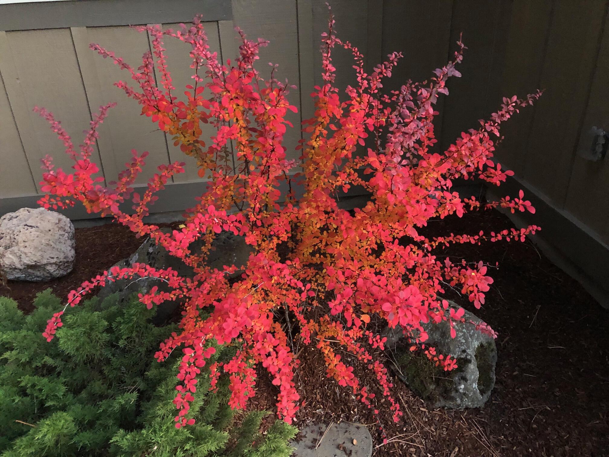 Anderson Acres - Residential