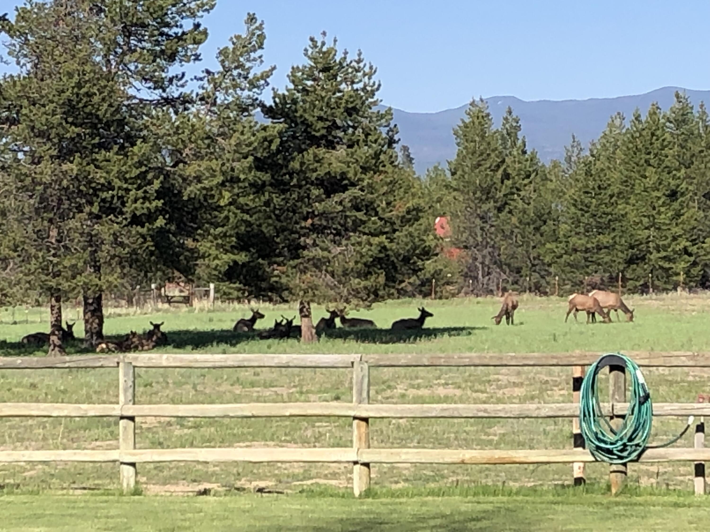 Anderson Acres - Residential