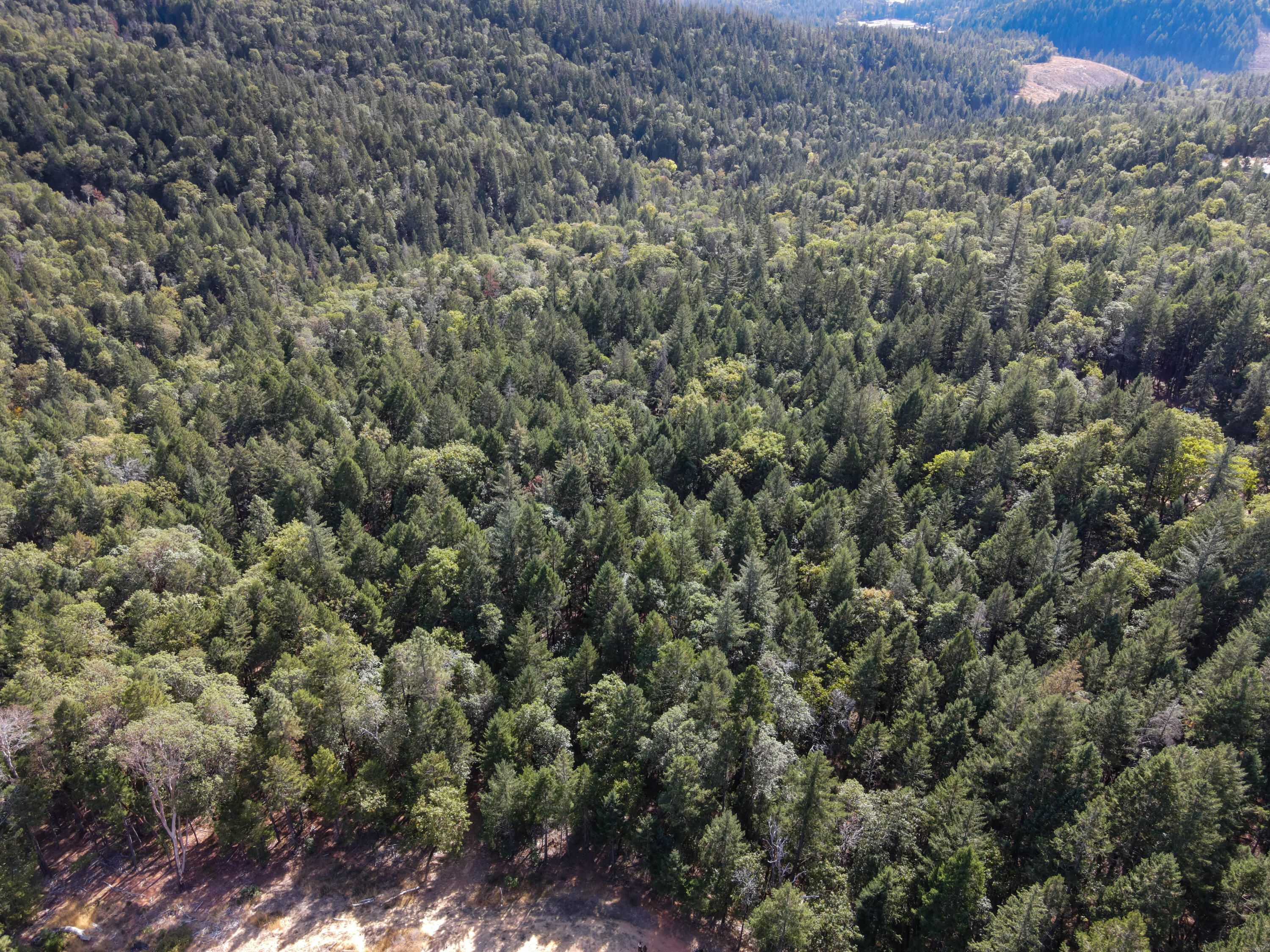 Merlin Townsite - Land