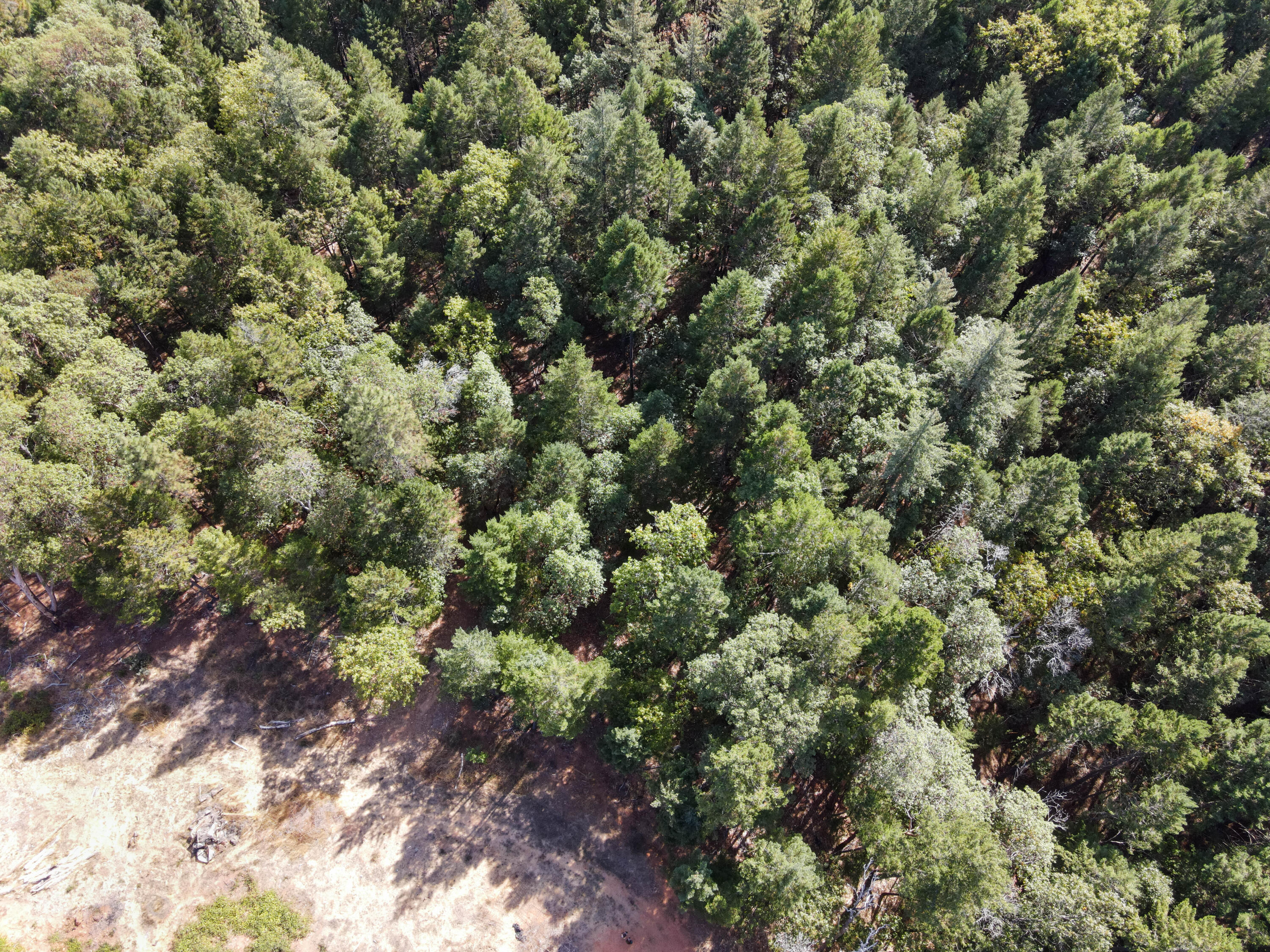 Merlin Townsite - Land