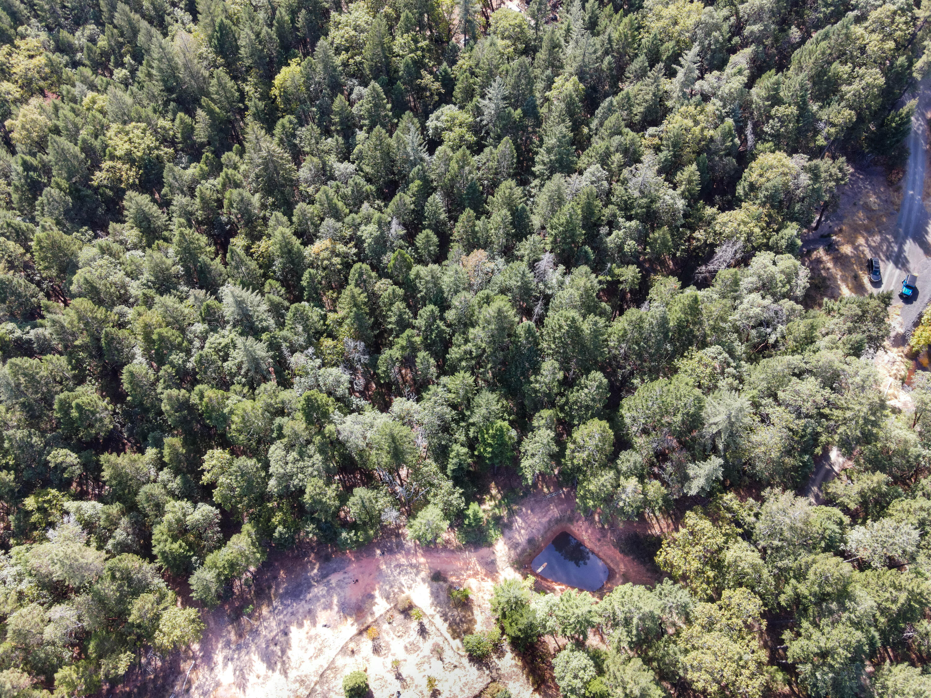 Merlin Townsite - Land