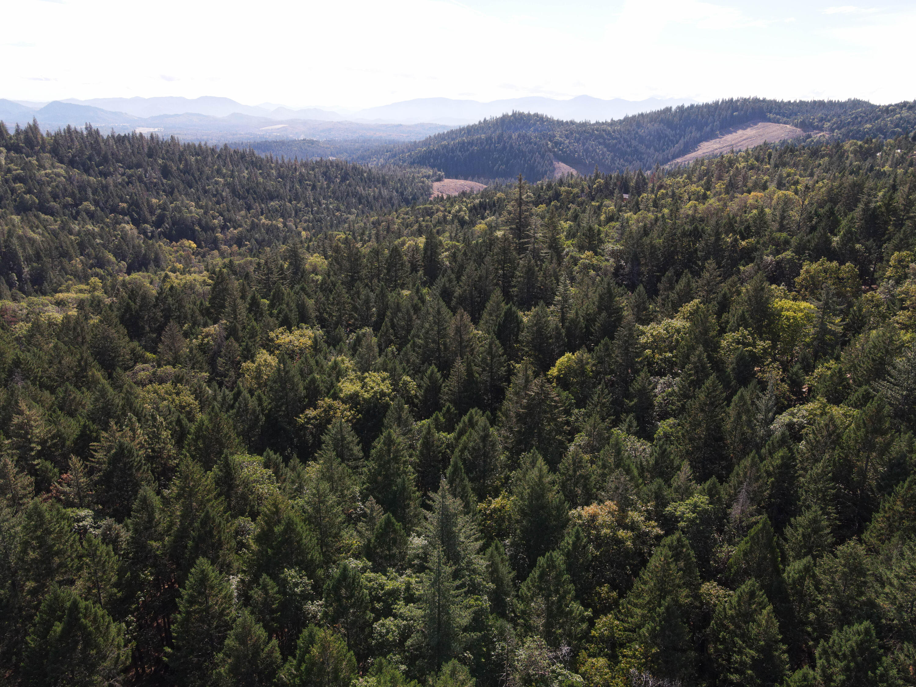 Merlin Townsite - Land