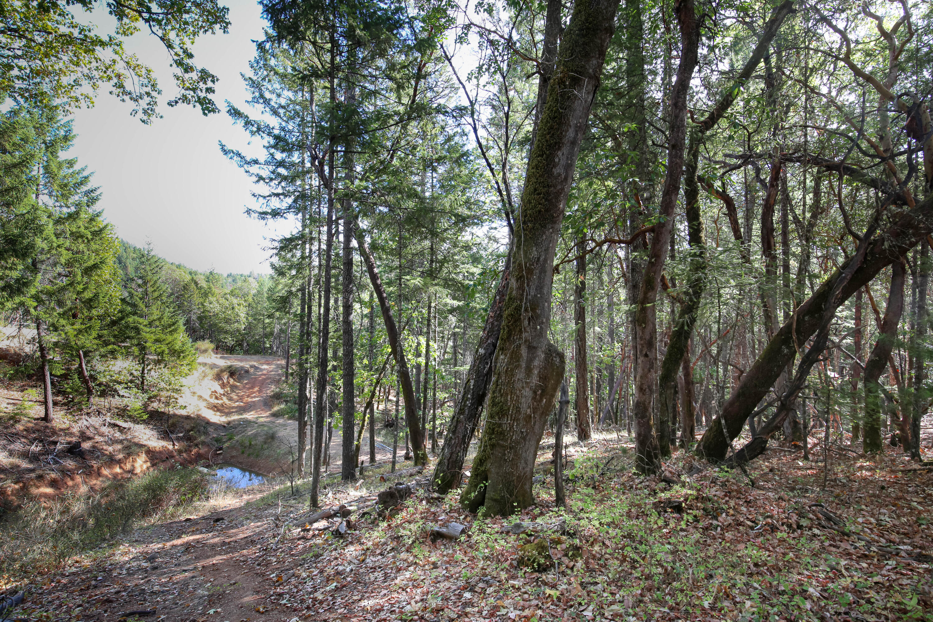 Merlin Townsite - Land